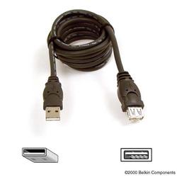 BELKIN COMPONENTS Belkin USB Extension Cable, 10 ft / 3m