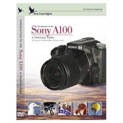 Blue Crane Digital BC110 Introduction to the Sony A100 Digital SLR Cam