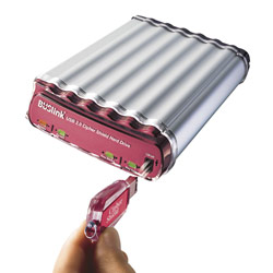 BUSLINK MEDIA Buslink 750GB Cipher Shield - Hardware Key Encrypted 128 Bit External Hard Drive Pre-Formatted, Metal Alloy, Heat Dissipating Case