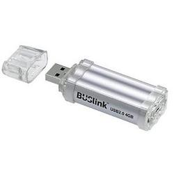 BUSLINK MEDIA Buslink 8GB USB 2.0 Bus Drive Pro 2 - 8 GB - USB