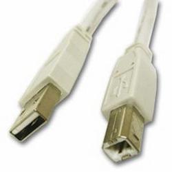 CABLES TO GO Cables To Go USB 2.0 Cable - 1 x Type A USB - 1 x Type B USB - 16.4ft - White