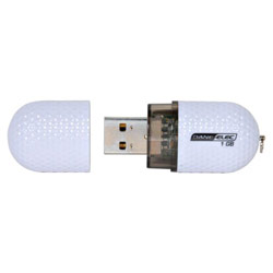 Dane-Elec Memory Dane-Elec 1GB USB 2.0 Flash Drive with Full Golf game - 1 GB - USB - External