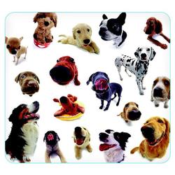 Allsop 29308 Dog Group Mouse Pad