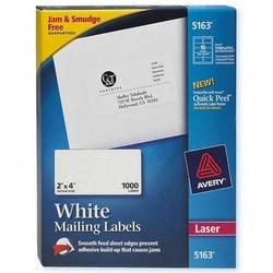 Avery-Dennison Avery Dennison Address Label - 2 Width x 4 Length - Permanent - 1000 / Box - White (5163)