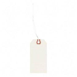Avery-Dennison Avery Dennison Manila G Shipping Tags - 2.75 x 1.37 - 1000 x Tag (12501)