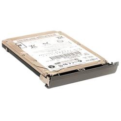 CMS PRODUCTS CMS Products Easy-Plug Easy-Go Hard Drive - 320GB - 5400rpm - Serial ATA/300 - Serial ATA - Plug-in Module (DD620-320)