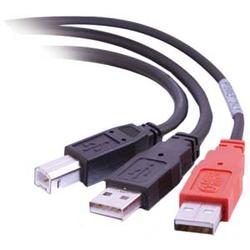 CABLES TO GO Cables To Go USB 2.0 Y-Cable - 1 x Type B USB - 2 x Type A USB - 6ft - Black