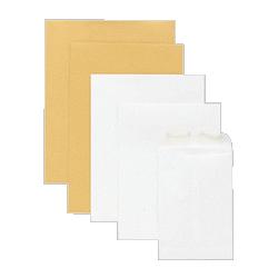 Sparco Products Catalog Envelope, Plain, 24Lb, 6-1/2 x9-1/2 , 500/BX, White (SPR09822)