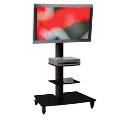 Draper FH MT 2000 SMS Flatscreen Stand - Up to 220lb Plasma Display - Black - Floor-mountable