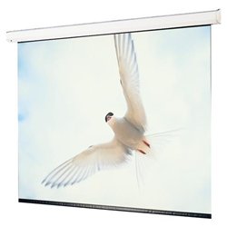 Draper Targa Electrol Projection Screen - 69 x 120 - Matte White - 133 Diagonal