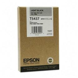 Epson America Epson Black Ink Cartridge - Light Black (T543700)