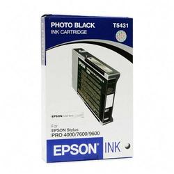 Epson America Epson Photo Black Ink Cartridge - Photo Black (T543100)