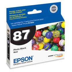 EPSON Epson UltraChrome Hi-Gloss 2 Ink Cartridge (87) - Photo Black