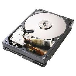 HITACHI GLOBAL STORAGE TECH Hitachi CinemaStar 7K1000 HCS721010KLA330 Hard Drive - 1TB - 7200rpm - Serial ATA/300 - Serial ATA - Internal (0A35274)