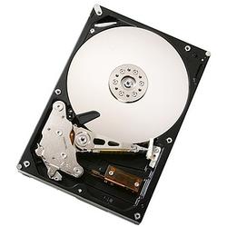 HITACHI GLOBAL STORAGE TECH Hitachi CinemaStar 7K1000 HCS721075KLA330 Hard Drive - 750GB - 7200rpm - Serial ATA/300 - Serial ATA - Internal (0A35273-20PK)