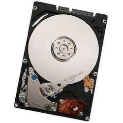 HITACHI GLOBAL STORAGE TECH Hitachi Travelstar 5K250 HTS542525K9SA00 Hard Drive - 250GB - 5400rpm - Serial ATA/150 - Serial ATA - Plug-in Module (0A53399-20PK)