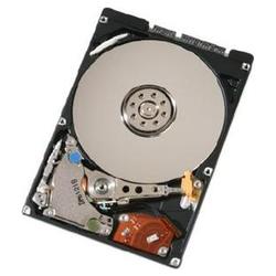 Hitachi Travelstar 7K200 HTS722010K9SA00 Hard Drive - 100GB - 7200rpm - Serial ATA/150 - Serial ATA - Plug-in Module