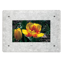 EASTMAN KODAK COMPANY KOD 1750298 DIGITAL FRAME FACEPLATE 8 FROSTED FLORAL GLASS