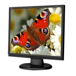 NEC Display AccuSync Business Series LCD73VX LCD Monitor - 17 - 1280 x 1024 @ 75Hz - 5ms - 700:1