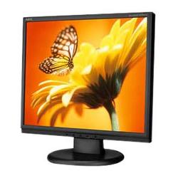 NEC Display AccuSync Business Series LCD93VX LCD Monitor - 19 - 1280 x 1024 - 5ms - 800:1 - Black