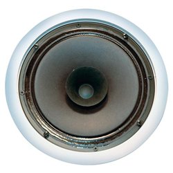 OEM Systems OEM SYSTEMS SC-800 8 Full Range Speaker