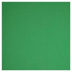 PhotoFlex Photoflex DPMCK007A BackDrop 10 x 12 Feet Chroma Green