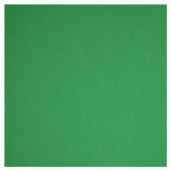 PhotoFlex Photoflex DPMCK007A BackDrop 10 x 12 Feet Chroma Green