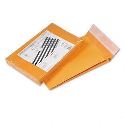 Quality Park Products Redi Strip™ Kraft 2 Expansion Envelopes, 9 x 12, 25/Pack (QUA93334)