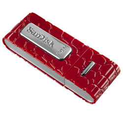 SanDisk 4GB Cruzer Gator USB Flash Drive