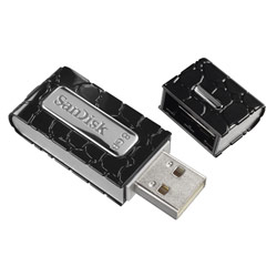 SanDisk 8GB Cruzer Gator USB Flash Drive Black