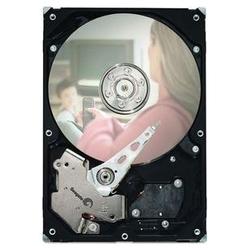 SEAGATE Seagate DB35.3 ST3320820SCE Hard Drive - 320GB - 7200rpm - Serial ATA/300 - Serial ATA - Internal