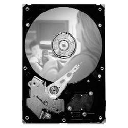 SEAGATE Seagate SV35.2 ST3320620SV Hard Drive - 320GB - 7200rpm - Serial ATA/300 - Serial ATA - Internal