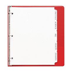 Sparco Products Single Reverse Collated Index Dividers, 5-Tab, 3-Hole Punch (SPR21001)