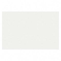 Sparco Products Sparco Unruled Plain Index Cards - 4 x 6 - 90lb - 100 x Card - White