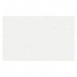 Sparco Products Sparco Unruled Plain Index Cards - 5 x 8 - 90lb - 100 x Card - White