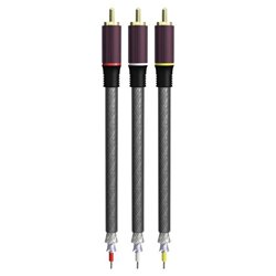 RCA Thomson Digital Plus Stereo Audio/Video Cable - Stereo - 12ft