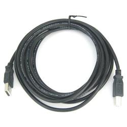 RiteAV USB Cable A-B 10ft.