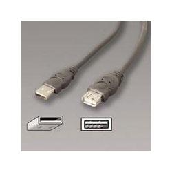 INNOVERA USB Extension Cable, 6 ft. (IVR30010)