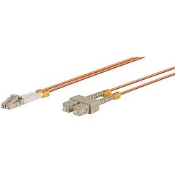 V7G ACESSORIES V7 Fiber Optic Patch Cable - 2 x LC - 2 x SC - 16.4ft