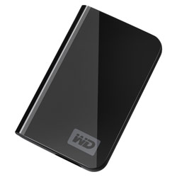 WESTERN DIGITAL Western Digital 160GB My Passport Essential USB 2.0 Portable Hard Drive