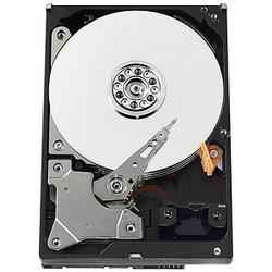 WESTERN DIGITAL Western Digital AV-GP WD5000AVVS Hard Drive - 500GB - Serial ATA/300 - Serial ATA - Internal (WD5000AVVS-20PK)