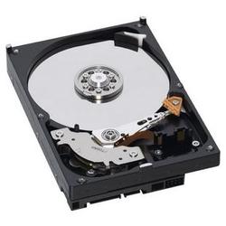 WESTERN DIGITAL Western Digital AV Hard Drive - 320GB - 7200rpm - Serial ATA/300 - Serial ATA - Internal