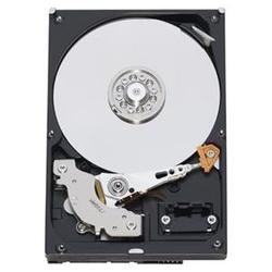 WESTERN DIGITAL Western Digital AV WD1600AVBS Hard Drive - 160GB - 7200rpm - Serial ATA/300 - Serial ATA - Internal (WD1600AVBS-20PK)