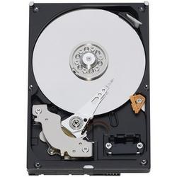 WESTERN DIGITAL Western Digital Caviar GP WD5000AACS Hard Drive - 500GB - Serial ATA/300 - Serial ATA - Internal