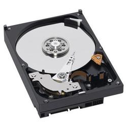 WESTERN DIGITAL Western Digital Caviar RE2 Hard Drive - 160GB - 7200rpm - Serial ATA/300 - Serial ATA - Internal (WD1601ABYS)