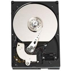 WESTERN DIGITAL Western Digital Caviar SE WD2500AAJB Hard Drive - 250GB - 7200rpm - Ultra ATA/100 (ATA-6) - IDE/EIDE - Internal (WD2500AAJB/20PK)