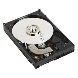 WESTERN DIGITAL Western Digital Caviar SE WD2500AAJB Hard Drive - 250GB - 7200rpm - Ultra ATA/100 (ATA-6) - IDE/EIDE - Internal (WD2500AAJB)