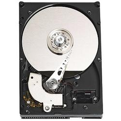 WESTERN DIGITAL Western Digital RE WD1601ABYS Hard Drive - 160GB - 7200rpm - Serial ATA/300 - Serial ATA - Internal