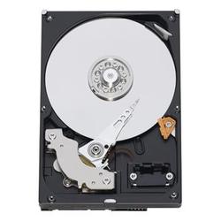 WESTERN DIGITAL Western Digital RE2-GP WD1000FYPS Hard Drive - 1TB - 7200rpm - Serial ATA/300 - Serial ATA - Internal (WD1000FYPS)