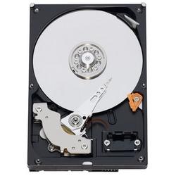 WESTERN DIGITAL - DESKTOP DIRVE Western Digital RE2 Hard Drive - 500GB - 7200rpm - Serial ATA/300 - Serial ATA - Internal